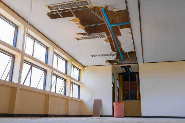 Water damage restoration mold remediation in TX