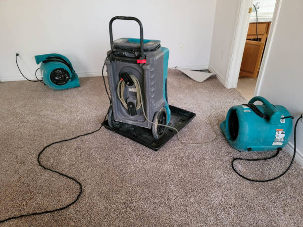 Best Fire Damage Restoration  in Old River Winfree, TX