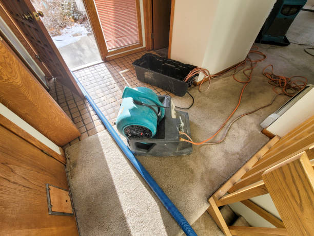 Best Water damage contractors near me  in Old River Winfree, TX