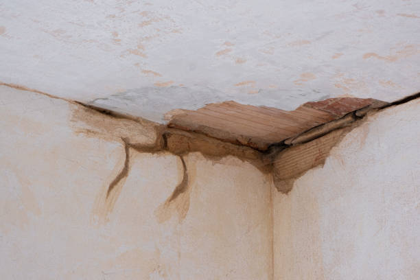 Water damage restoration insurance claims in TX