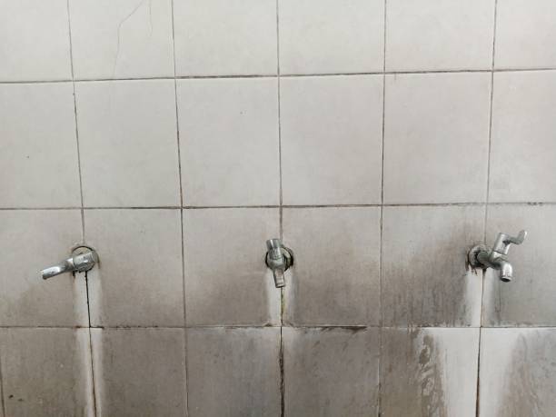 Best Local water damage restoration  in Old River Winfree, TX